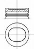 NüRAL 87-215300-10 Piston
